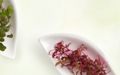 Next Level, Detox Facial & Homecare: Microgreens by Eminence