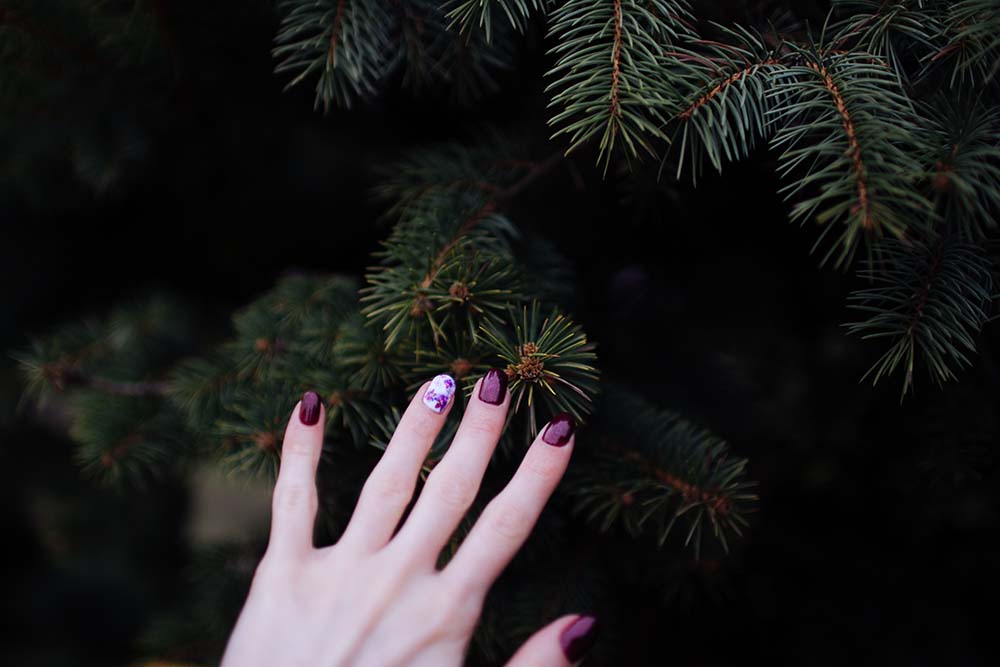 nails special holiday bend anjou spa