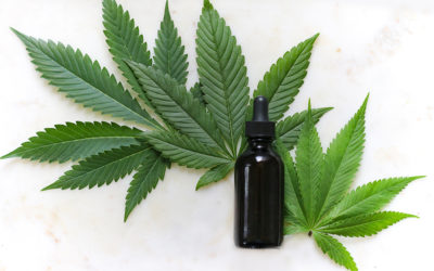 Dad Gifts: Try Healing CBD!